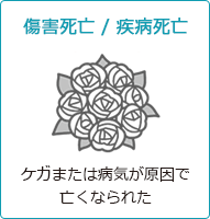 傷害死亡/疾病死亡