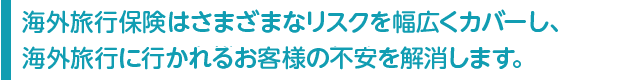 AIG損保の海外旅行保険はさまざまなリスクを幅広くカバーし、海外旅行に行かれるお客様の不安を解消します。