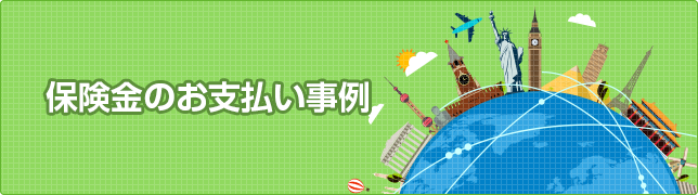 保険金のお支払い事例