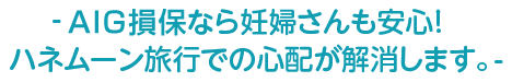 - AIG損保なら妊婦さんも安心！ハネムーン旅行での心配が解消します。-