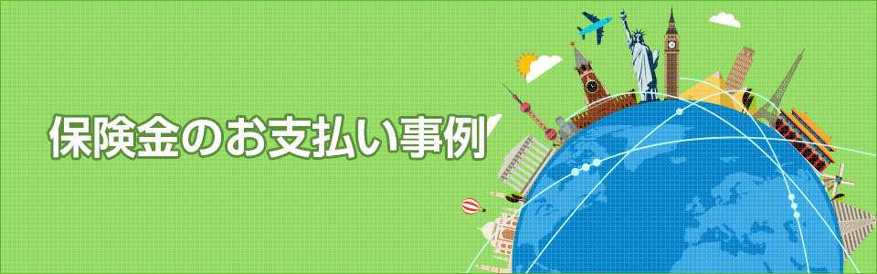 保険金のお支払い事例